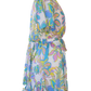 Flower Print Godet Dress (Curvy)
