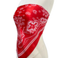Life is Good Red Scarf